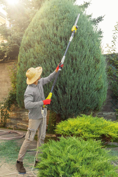 Lawn Pest Prevention in Cedarville, OH